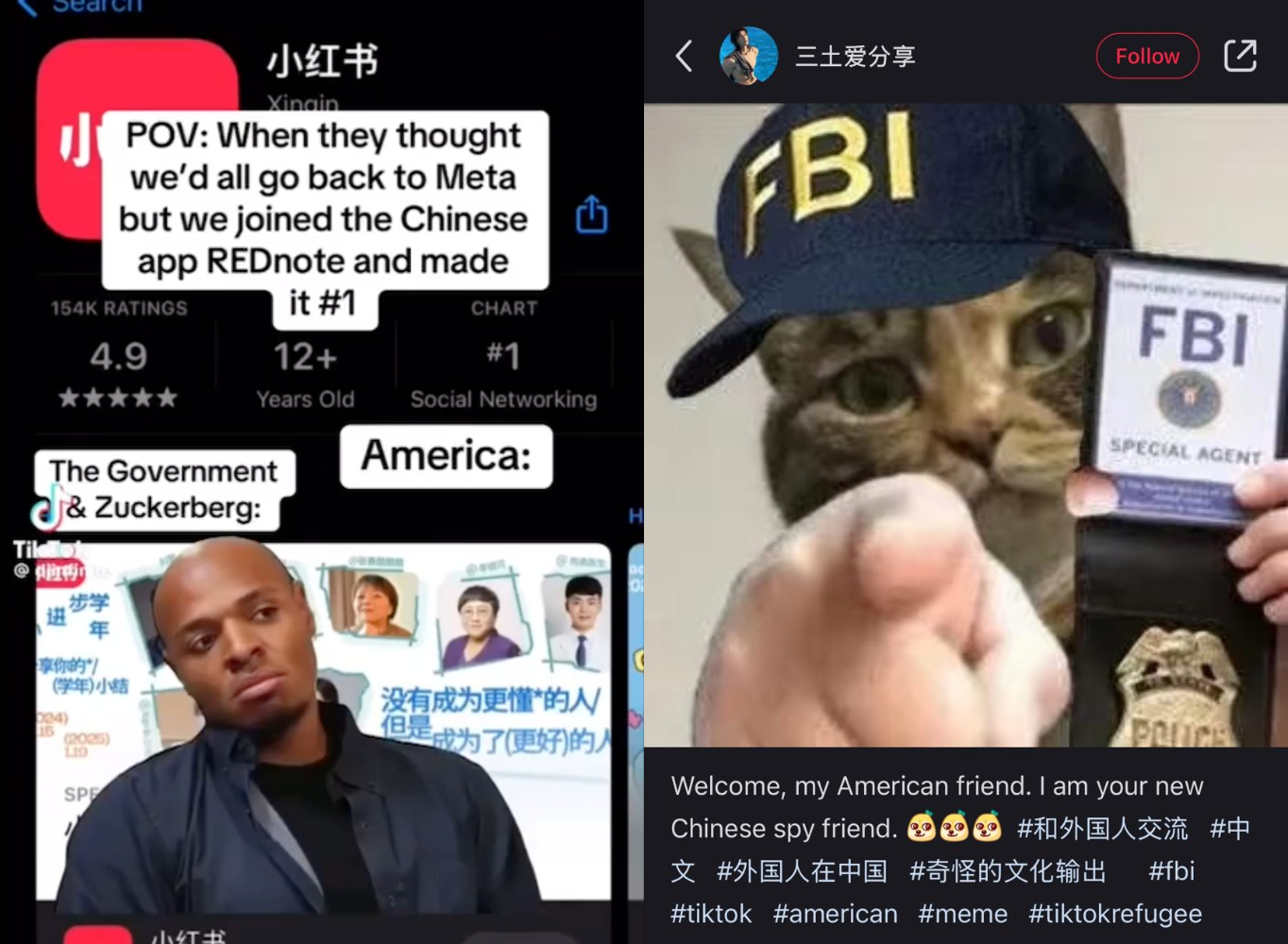 Американцы протестуют против закрытия TikTok и переходят в RedNote. Китайцы требуют фото котов и помощи с домашкой