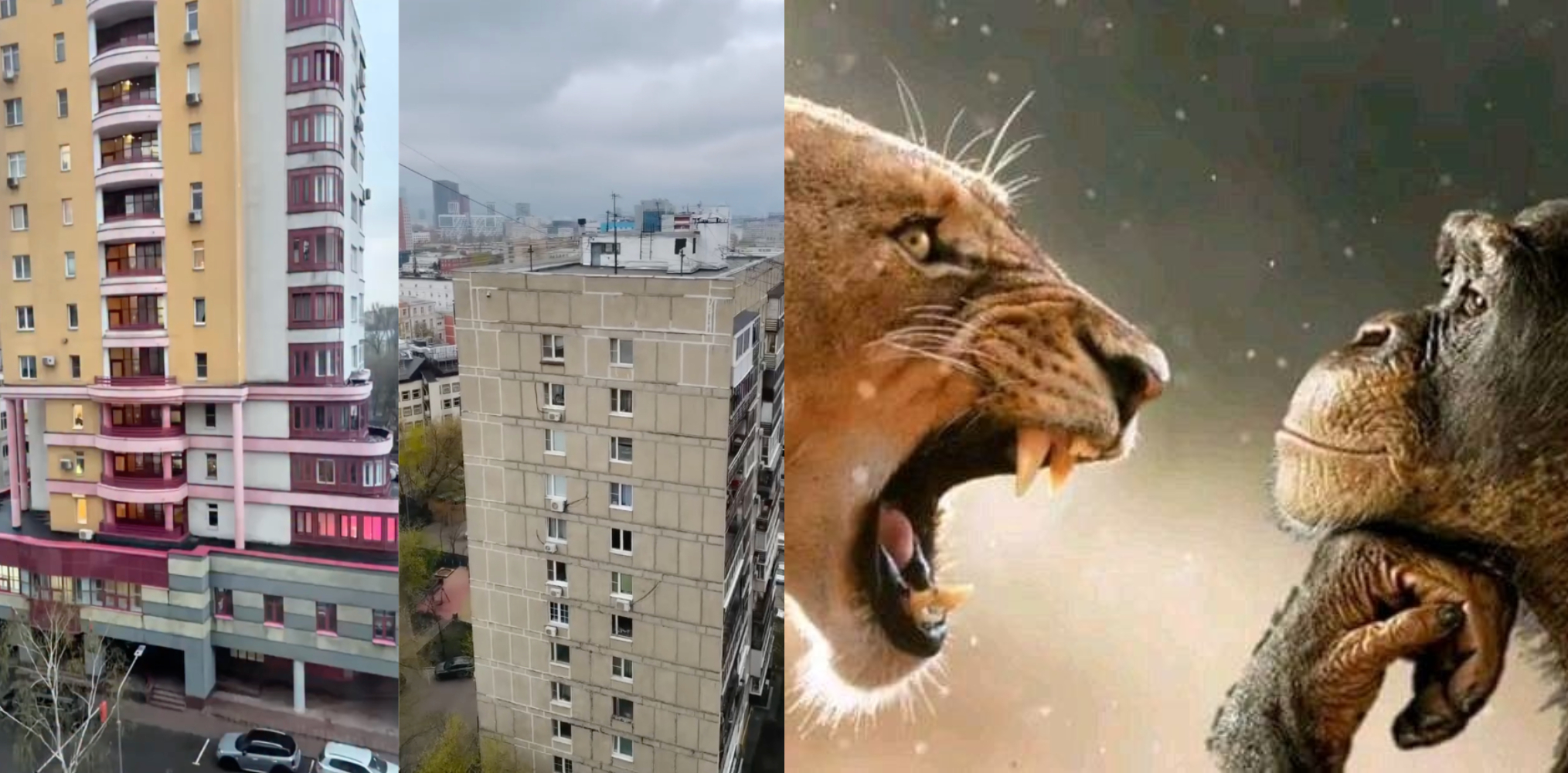 «Весь он какой-то странный». Москвич высмеял необычный ЖК, а получил добрый урок от соседа